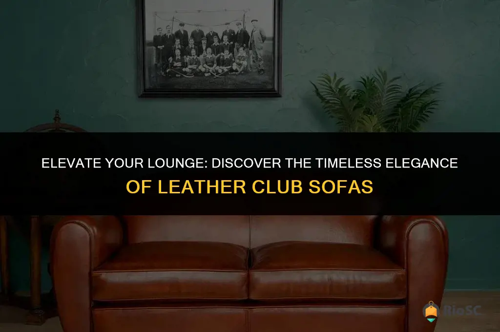 best leather club sofa