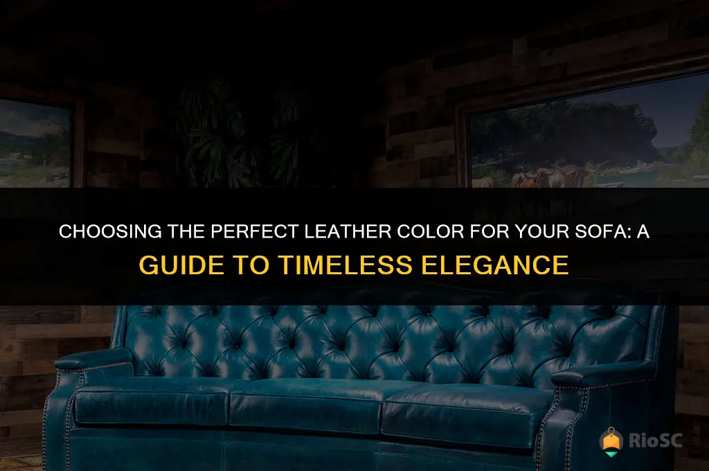 best leather color for sofa