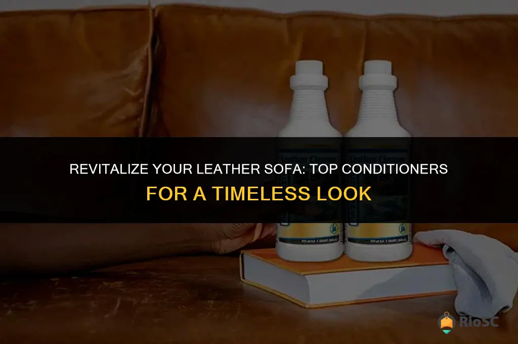 best leather conditioner sofas