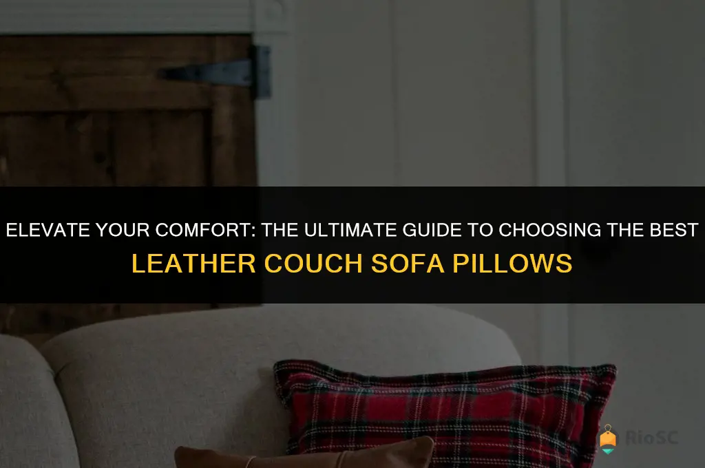best leather couch sofa pillows
