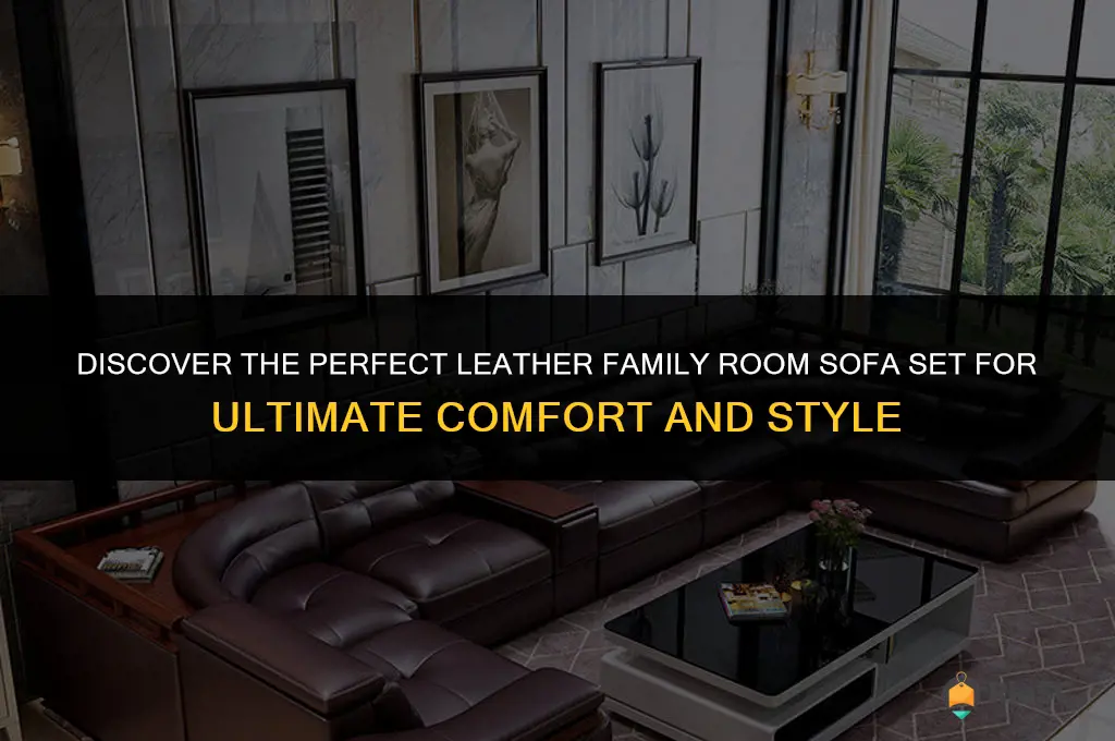 best leather family room sofa set