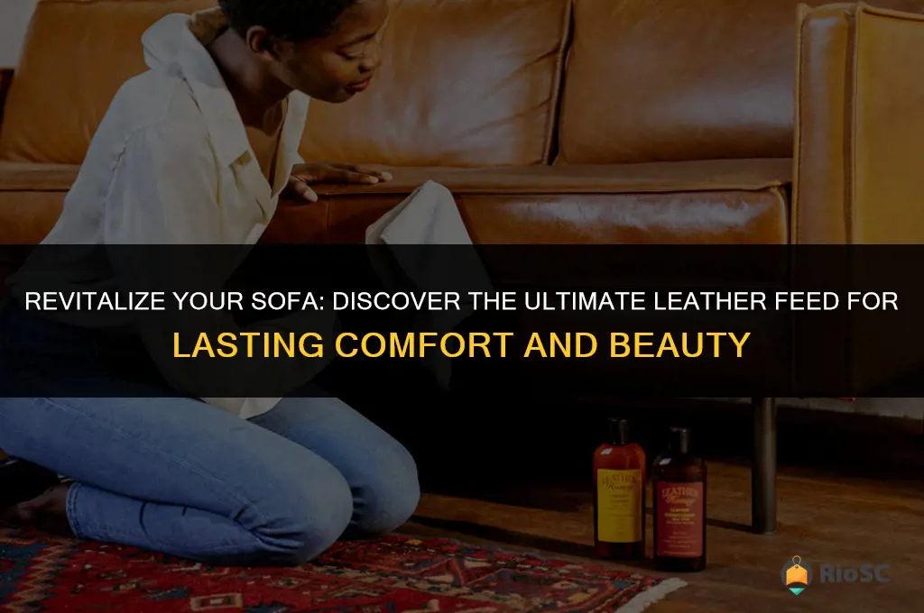 best leather feed for sofas