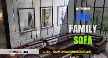Choosing the Perfect Leather for Your Family Sofa: A Comprehensive Guide