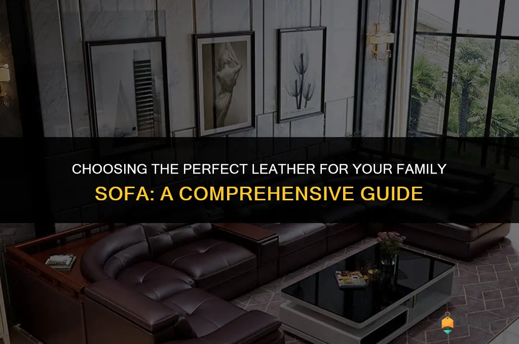 best leather for family sofa