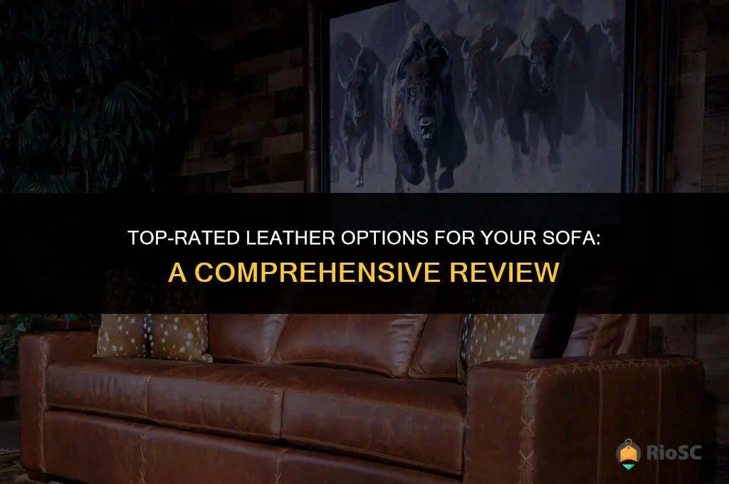 best leather for sofa reviews
