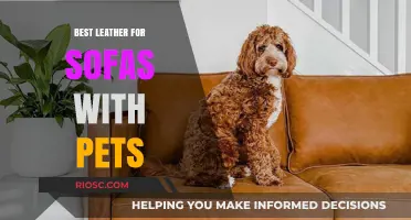 Pet-Friendly Leather: Choosing the Best Sofa Material for Homes with Furry Friends