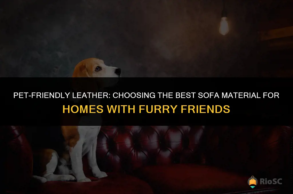 best leather for sofas with pets