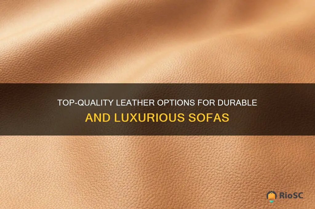best leather for sofas