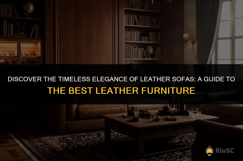 best leather furniture leater sofa org