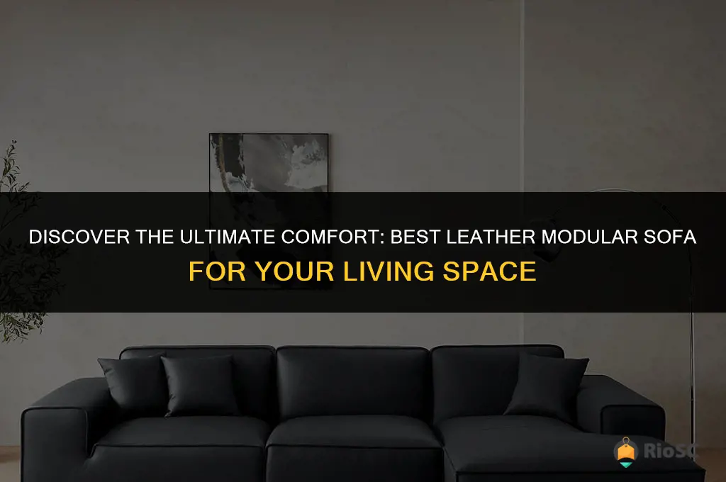 best leather modular sofa