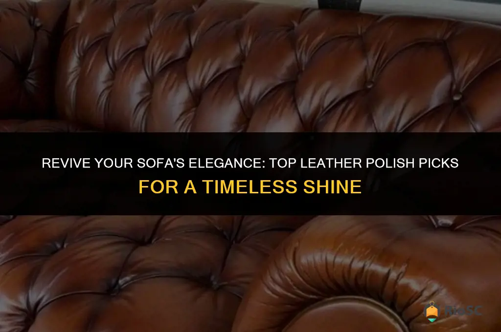 best leather polish for sofas