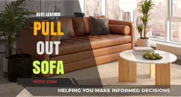 Ultimate Comfort: Top Leather Pull-Out Sofas for Your Living Space