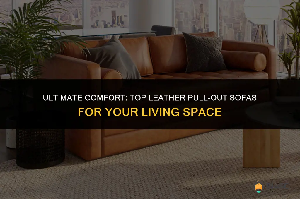 best leather pull out sofa