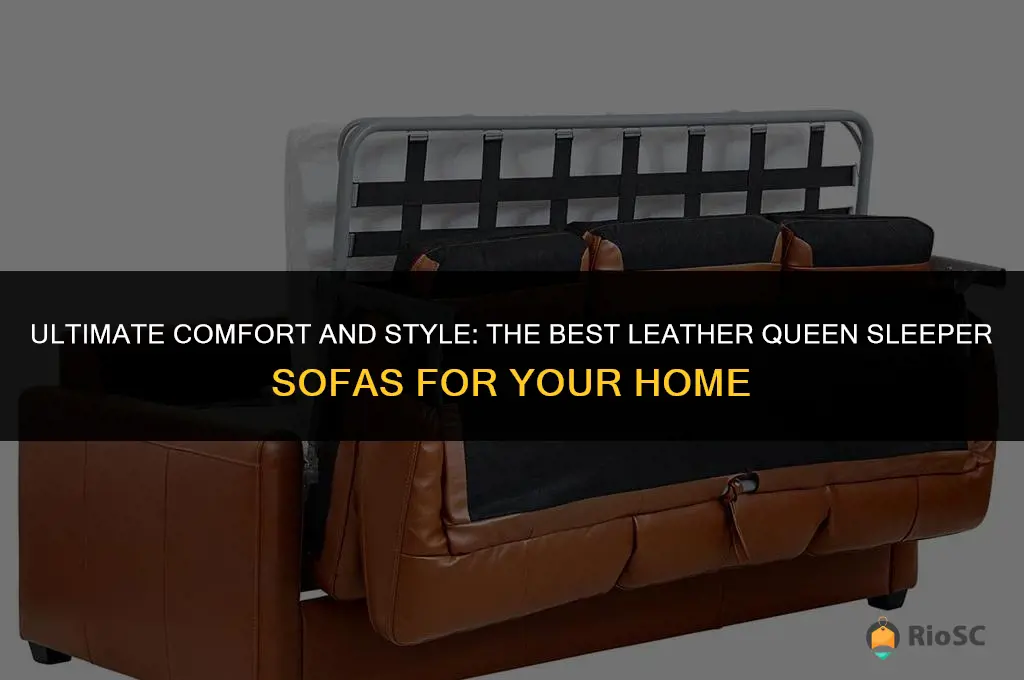 best leather queen sleeper sofa