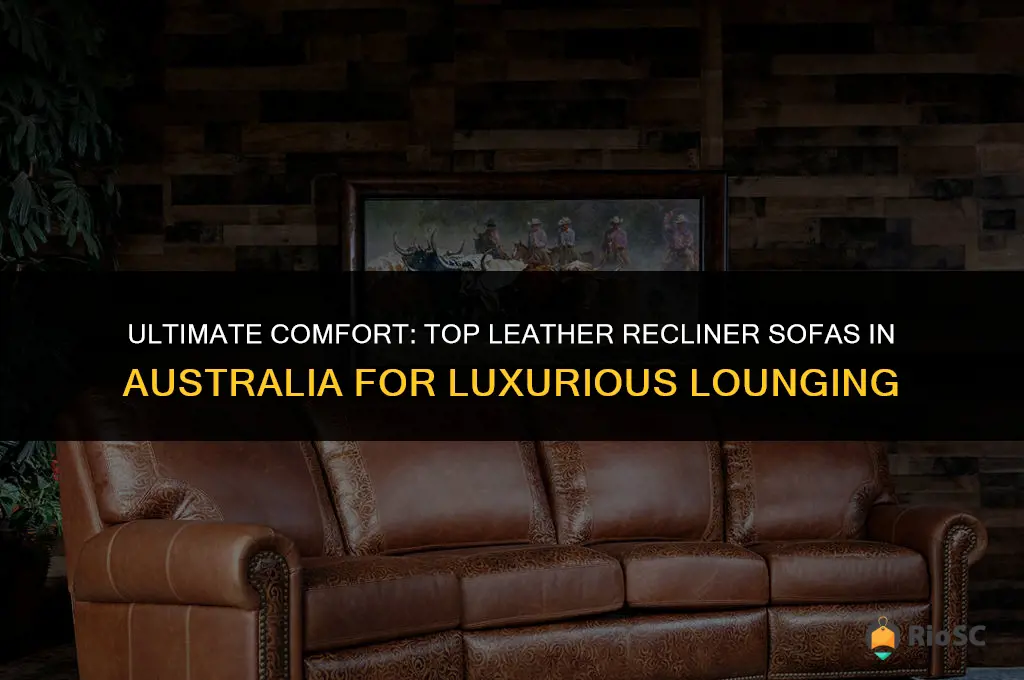best leather recliner sofa australia