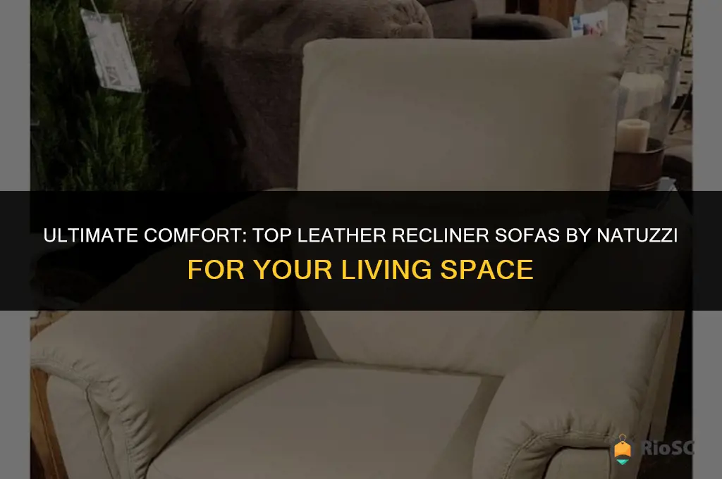 best leather recliner sofas natuzzi