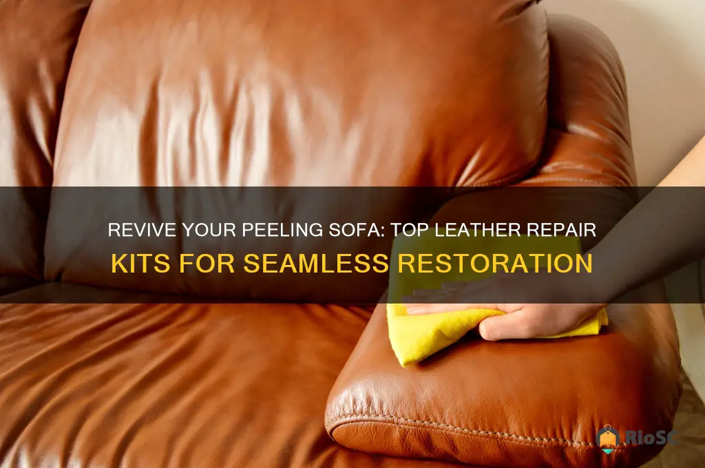 best leather repair kit for peeling sofa
