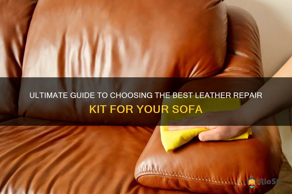 best leather repair kit for sofa