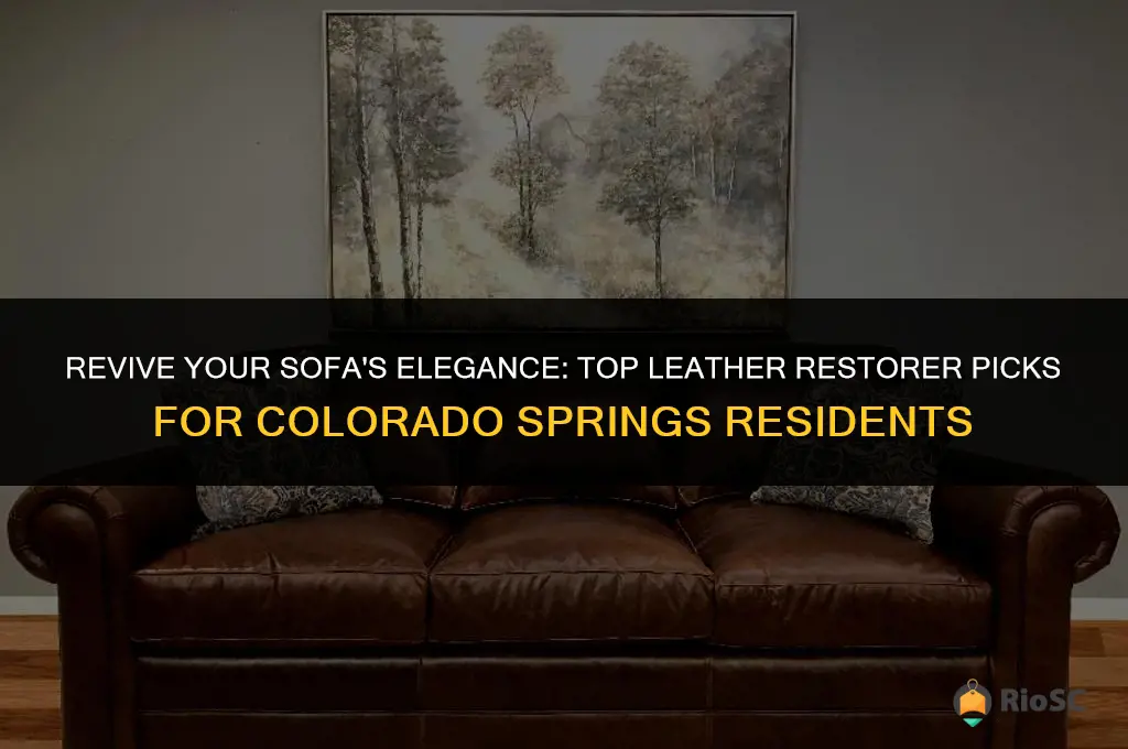 best leather restorer for sofas colorado springs