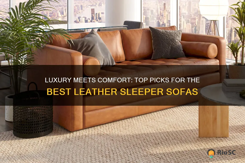 best leather sleeper sofa