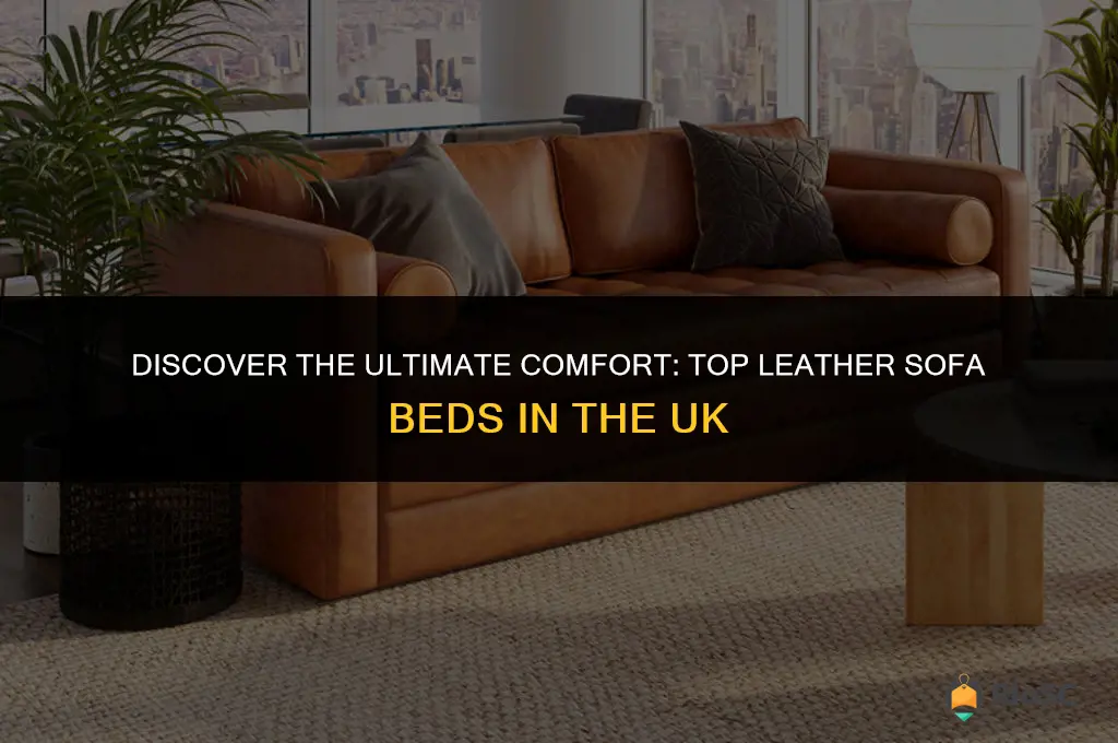 best leather sofa bed uk