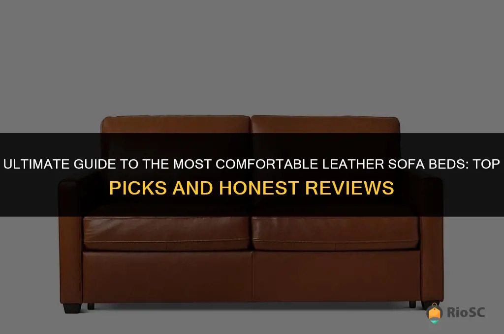 best leather sofa beds reviews