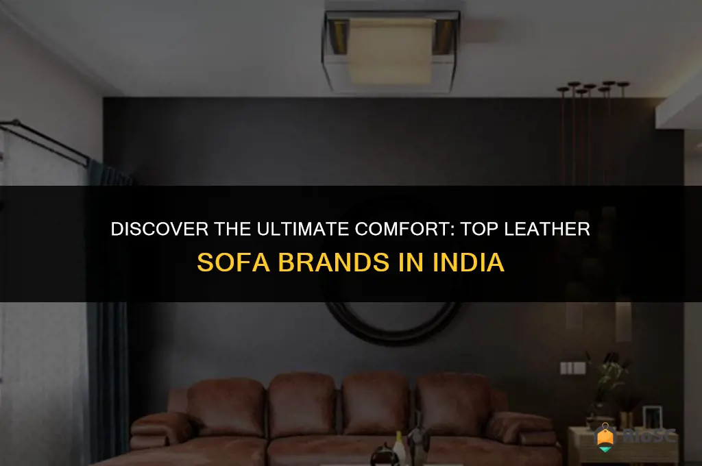 best leather sofa brand in india