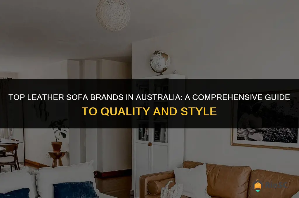 best leather sofa brands australia