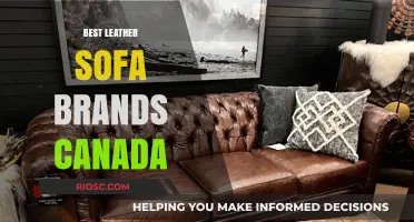 Top Leather Sofa Brands in Canada: A Comprehensive Guide to Quality and Style
