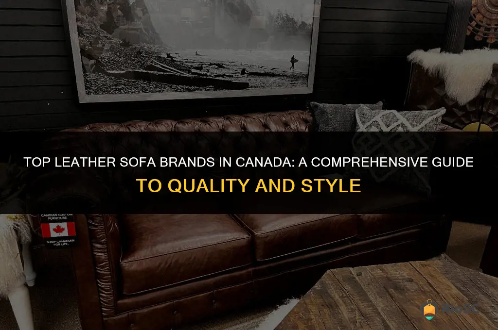 best leather sofa brands canada