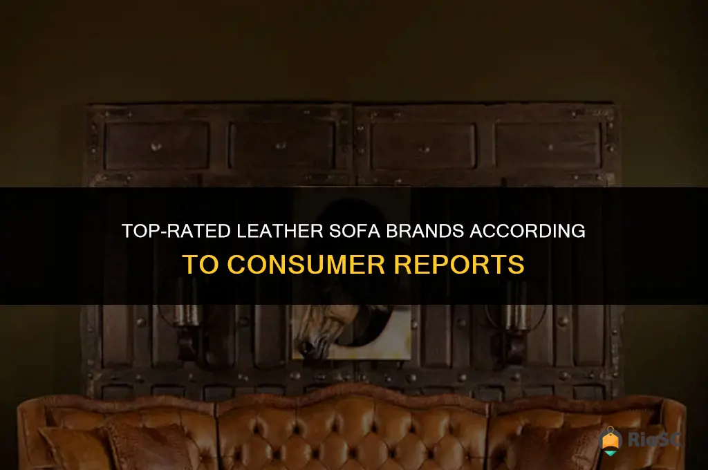 best leather sofa brands consumer reports