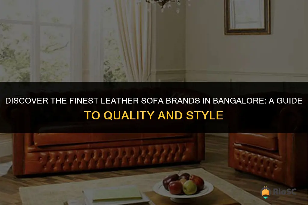 best leather sofa brands in bangalore