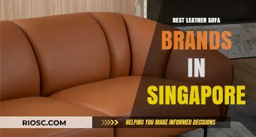 Discover the Finest Leather Sofa Brands in Singapore: A Guide to Quality and Style