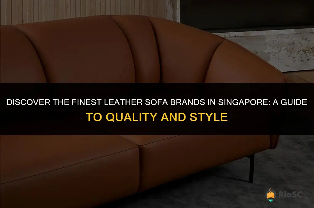 best leather sofa brands in singapore