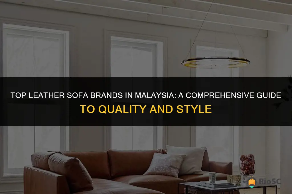 best leather sofa brands malaysia