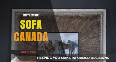 Discover the Ultimate Comfort: Top Leather Sofas in Canada for Your Living Space