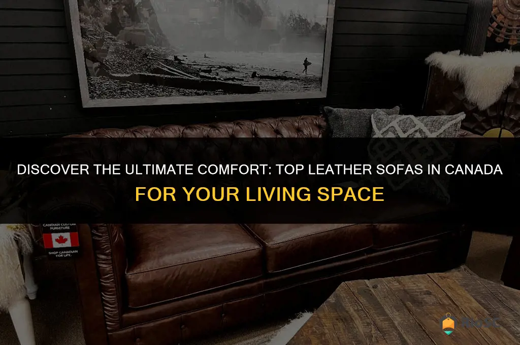 best leather sofa canada