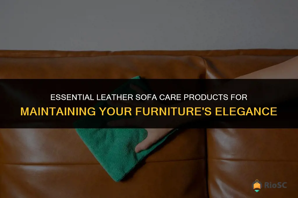 best leather sofa care products
