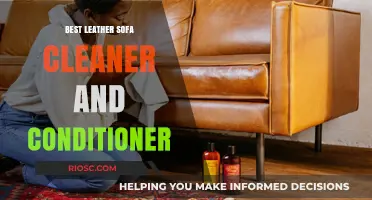 Revitalize Your Leather Sofa: Top Cleaner and Conditioner Picks for Lasting Shine and Protection