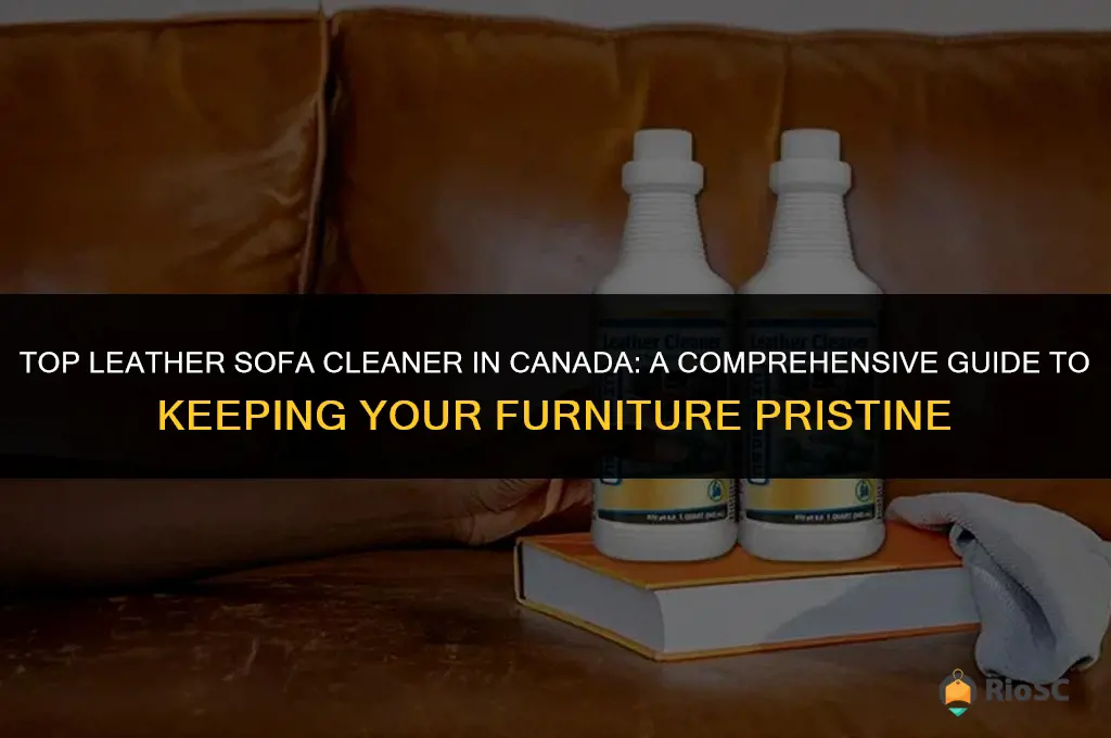 best leather sofa cleaner canada