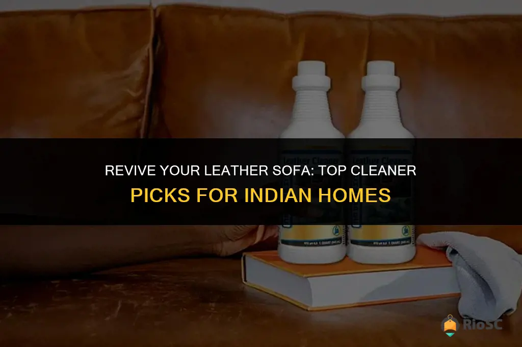 best leather sofa cleaner india