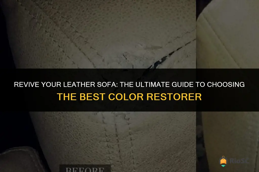 best leather sofa colour restorer