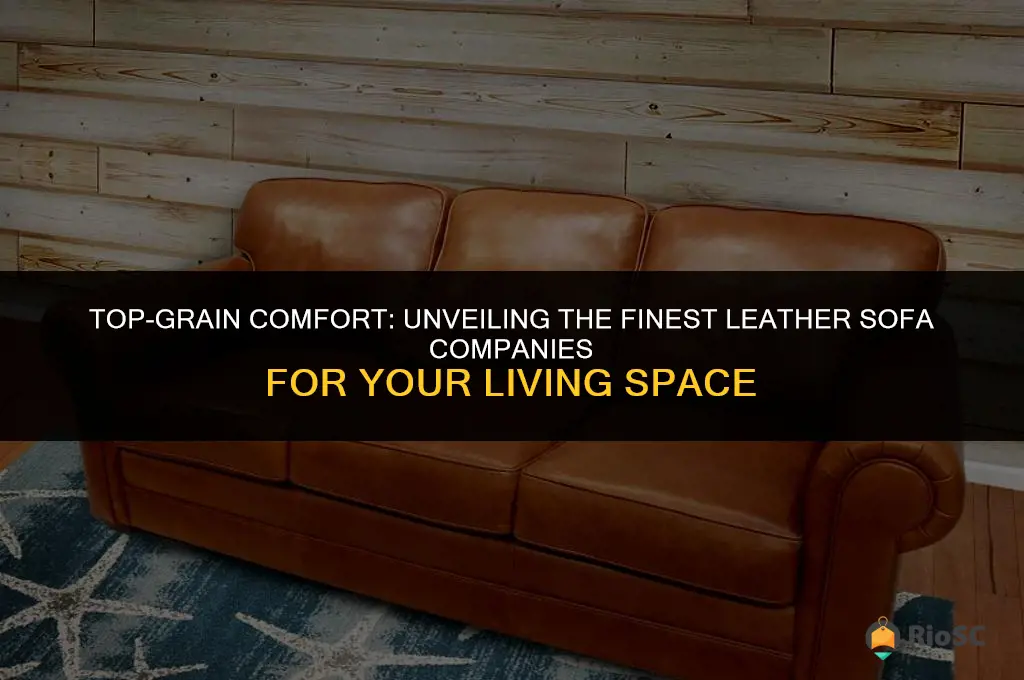 best leather sofa companies