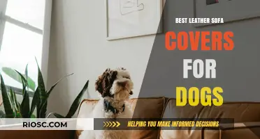 Protect Your Furniture in Style: Top Leather Sofa Covers for Dog Owners