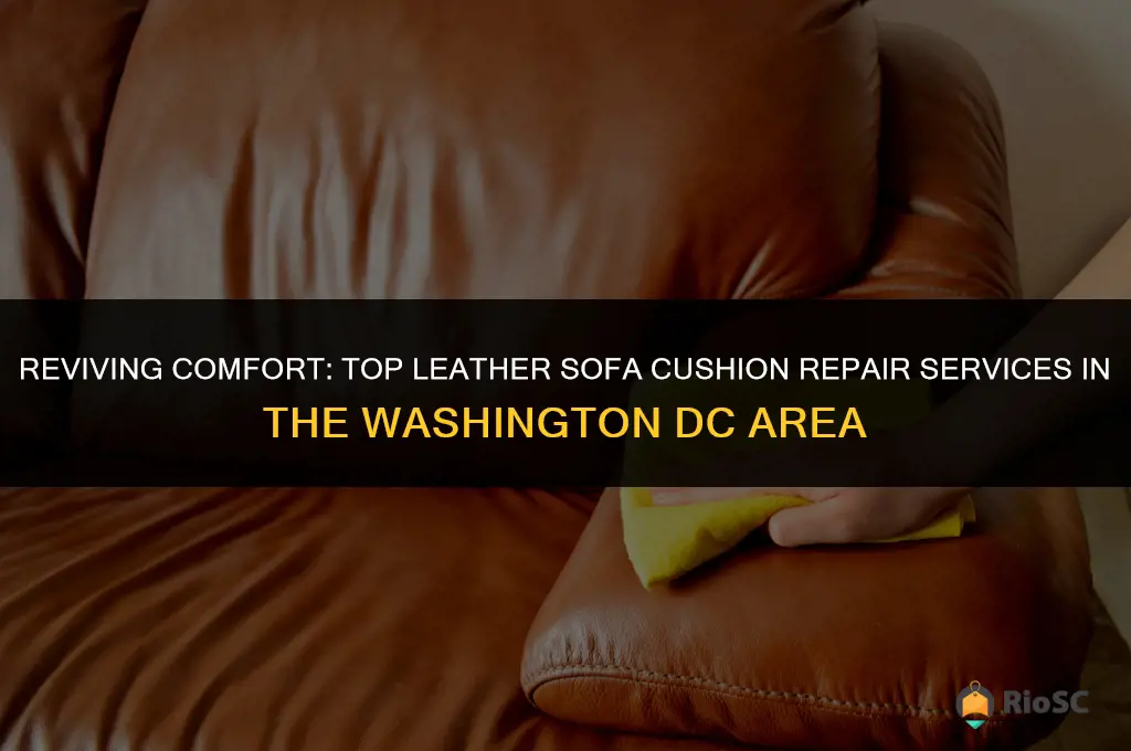 best leather sofa cushion repair washington dc area
