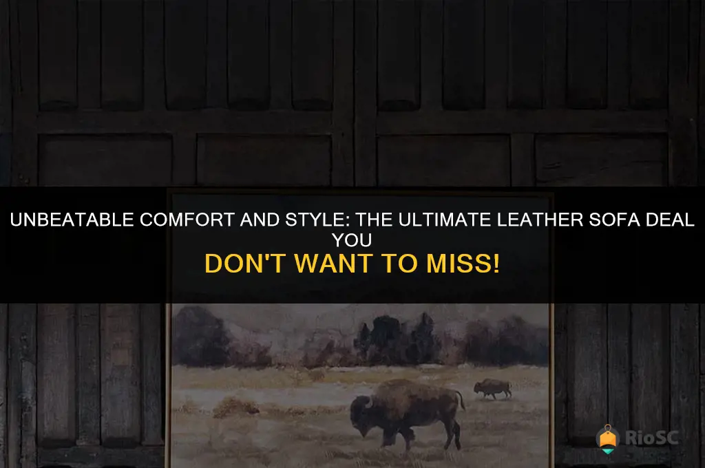 best leather sofa deal
