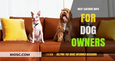 Ultimate Comfort for Canine Companions: The Top Leather Sofa Picks for Dog Owners
