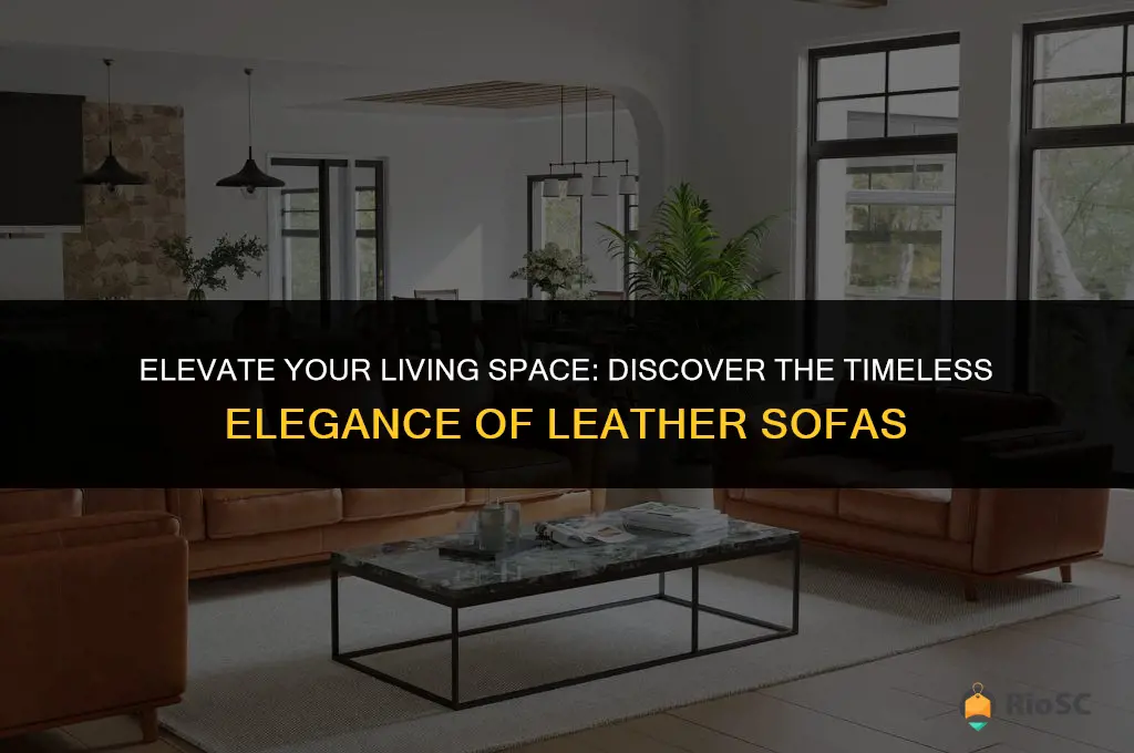 best leather sofa for living room
