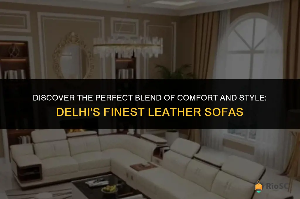 best leather sofa in delhi