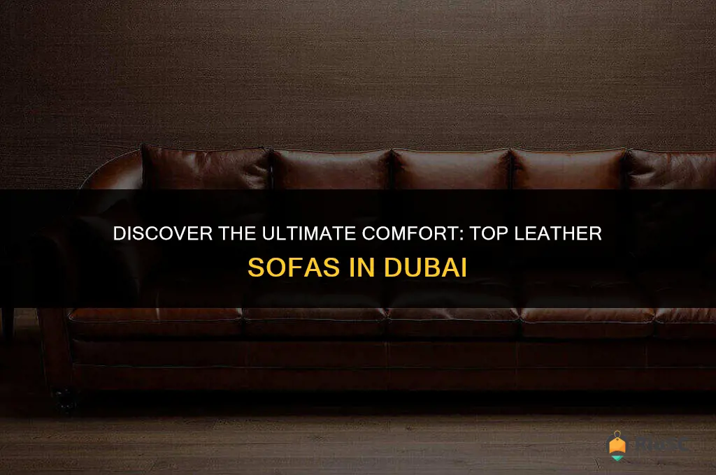 best leather sofa in dubai
